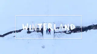 TRIPYEMOTIONS | Winterland