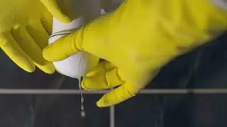 Can Mold Damage Be Repaired in Sarasota? Insights From VetCor of Sarasota Manatee