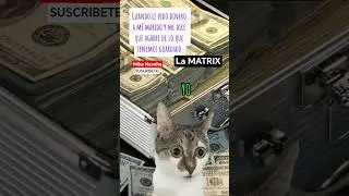 #5077 Don DINERO #tijuana #video #funny #money #memes #shorts #humor #cat #animals #reels #life #dj