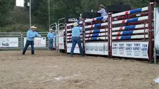 BS mini buckers finals, Dirt on Copenhagen, 9 25 21