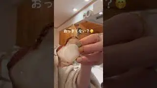 コストコの燻製のタコ🐙めっっちゃ美味しい！🤤お酒飲む方は大満足すると思う！！！ちなみに私は飲めないけど🍺これ好き❤️閲覧注意、大丈夫でした？🐙息子は🐙足が苦手なので「見たくない！」