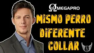 💸 OMEGAPRO &mdash; GO GLOBAL | Mismo Perro Con Diferente Collar