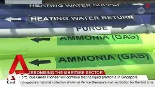 Singapore to register first 4 ammonia dual-fuel bulk carriers around 2026