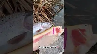 Джиг-приманка в виде червя, которую обожает форель.