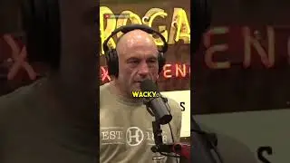 Conspiracy Theories Abound #history #cia #israel #israelpalestineconflict #joerogan #palestine