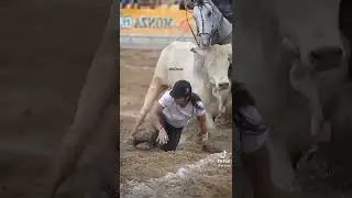 girl fell down from the horse #beauty #horse #bull #arabic #bestgame