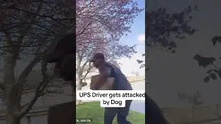 Dog attacks ups delivery driver