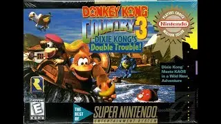 Donkey Kong Country Throwback Stream Gruesome Twosome