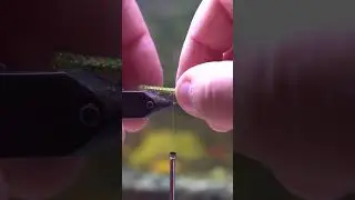 Sunfish Candy (Olive) #flytying #timelapse #fishing #flyfishing #shorts