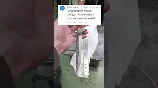 ВАЖНЫЙ МОМЕНТ #анатолийлютый #лютыйстудия