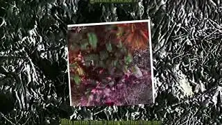 Silent KiLLa - My mind won’t stop bothering me (Official Visualizer)