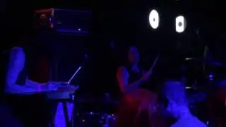 Insect Ark - Live in Roadburn 2018