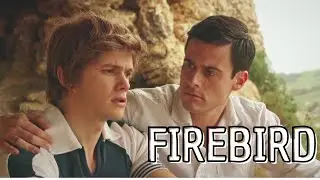 Resumen de FIREBIRD