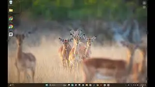 01 05 2025 NMQ Review Tutorial When NOT to trade