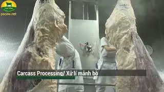 THE PROCESS AT PACOW INTERNATIONAL FACTORY – A PIONEER IN CHILLED BEEF PRODUCTION TECHNOLOGY IN VN