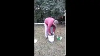 Preserving Coyote Bait