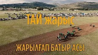 #Тай  бәйге   4 шақырым  Егіндібұлақ