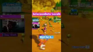 Intermediate Level Hidden Targets (Wii Sports Resort)