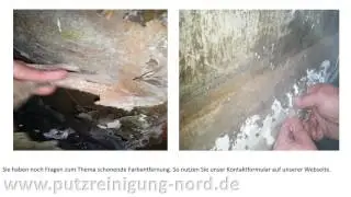 Altanstriche richtig Entfernen
