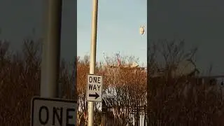 Slow Flight Landing- Part 1- Founders Plaza Observation Area- Dallas- Tx