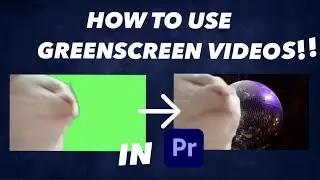 How to use Green screen Video Clips in Premiere Pro (2023) | Premiere Pro Tutorial