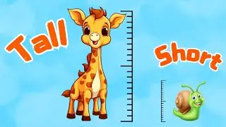 Tall and short song | kids song | nursery rhymes| opposite song | Fun learning with Mini Mum Kids Tv