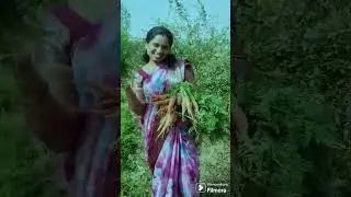 Village lo 