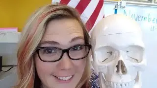 Let's test this live stream with an experiment!