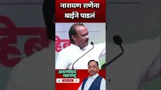 Ajit Pawar on Narayan Rane : राणेंना बाईने पाडलं #ajitpawar #narayanrane #ncp #maharashtrapolitics