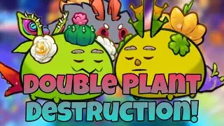 🔥 This Double Plant Build is Pure Chaos! | Mech + Poison + Burn - Axie Infinity PvP 2025