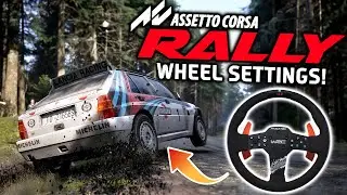 Assetto Corsa Rally | Руководство по настройке колес