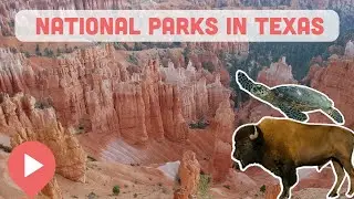 Best National Parks in Texas