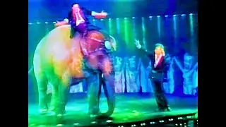 AMAZING Vanishing Elephants Illusions-MagicalMike O looks at the Giant Spectacular Magic Illusion