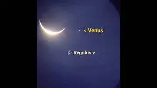 Crescent Moon, Venus, and Regulus Conjunction. Telescope View. 09-19-25. #Moon #Venus #Space #Shorts