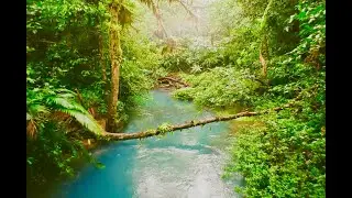 moscow mule | bad bunny // (intro slowed + looped + reverb + bass boosted) ((𝒂𝒎𝒃𝒊𝒆𝒏𝒕 𝒆𝒙𝒕𝒆𝒏𝒅𝒆𝒅 𝒎𝒊𝒙))