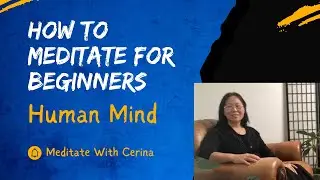 How To Meditate For Beginners | Meditate With Cerina | Part 1: Human Mind