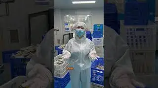 High quality nutrition supplements, Class 100,000 cleanroom, transparent workshop