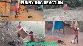 Dog Prank in Village Boy # Funny Dog Reaction Top 10 Very Funny Video #Suraj op Vlogs