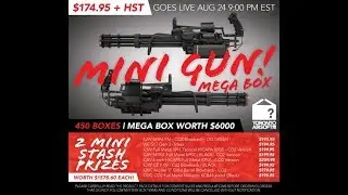 Toronto Airsoft Mystery Box 2018 (AW hi capa)