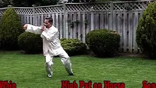 Sifu Paul Ng, Yang Style, Taichi, Demonstration