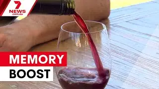 Dark chocolate and red wine boost memory | 7NEWS