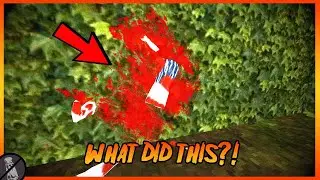 Что, чёрт возьми, это случилось?! - Something Rush