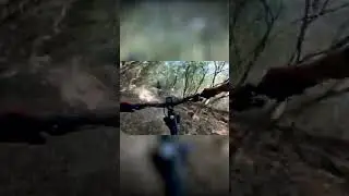 YT Capra CF 2016 VS Specialized Enduro Sworks 2022