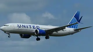 Rare Catches, Special liveries and more! Plane spotting Belize