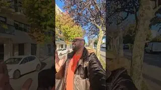 maypal leaf 🍁🍁 #canada #travl #portugallife #portugalviral #portugal🇵🇹 #portgal🇵🇹🇵🇹 #loveportugal