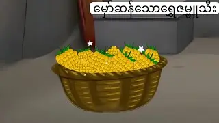 မှော်ဆန်သော ရွှေဇမ္ဗူသီး