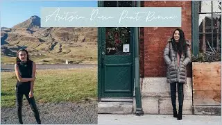 FYI Before You Buy | Aritzia   Wilfred Free Daria Pant