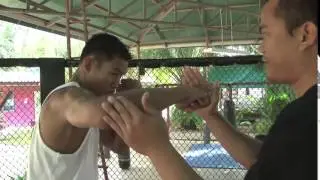 Tiger Muay Thai and MMA  Kru Yod Basic Punching Technique