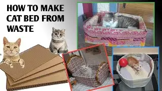 How to make cat bed with cardboard at home/Diy cat bed 🛌 Best out of waste recycling