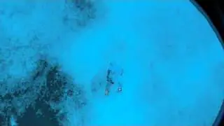 orfos cyprus spearfishing